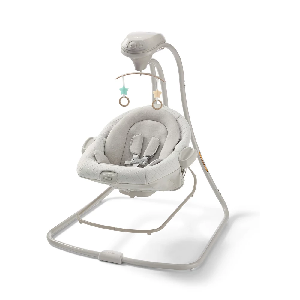 DuetConnect? LX Swing and Bouncer - Image 7