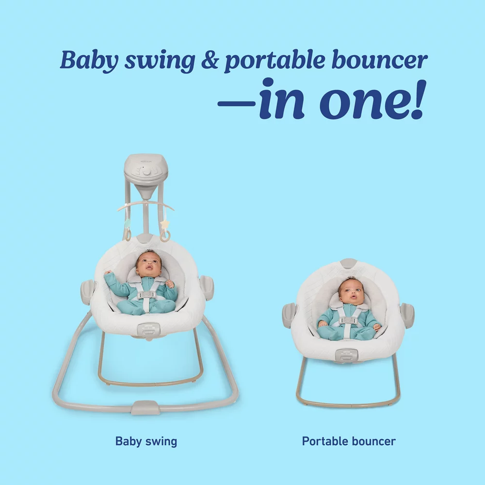 DuetConnect? LX Swing and Bouncer - Image 8