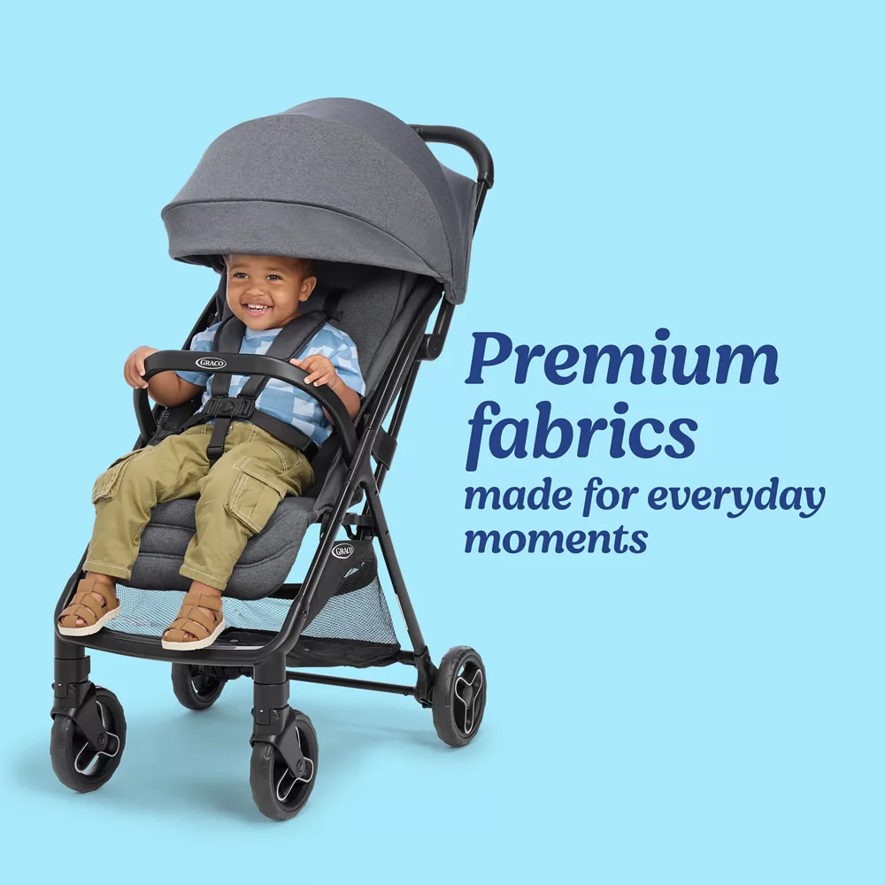 Ready2Jet? DLX Travel System - Image 3